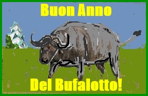 bufalo